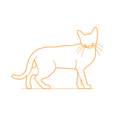 Animals Cats Bombay Cat Svg Line Art, Free Vectors File